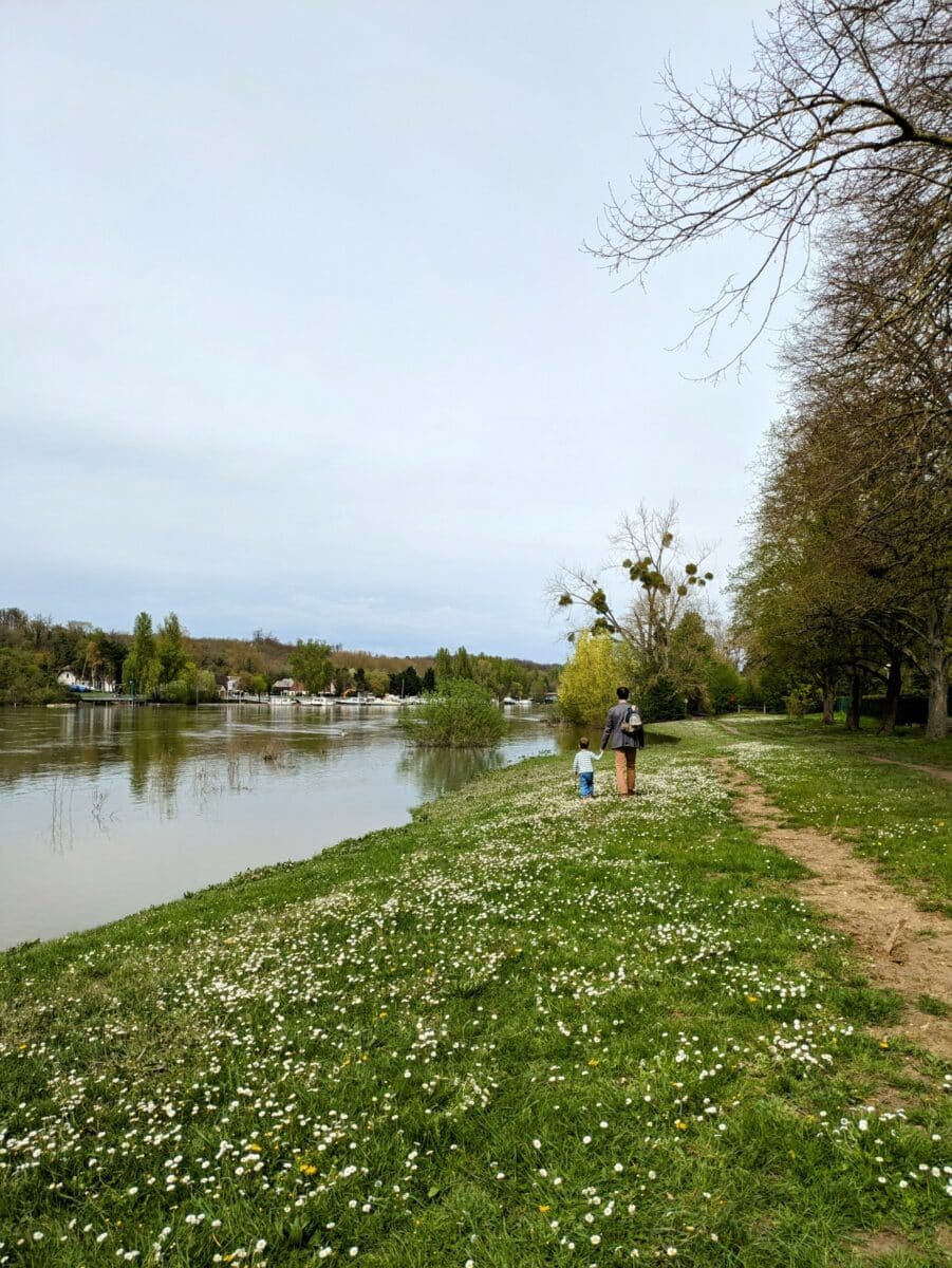 le long de la seine buvette samoreau 77