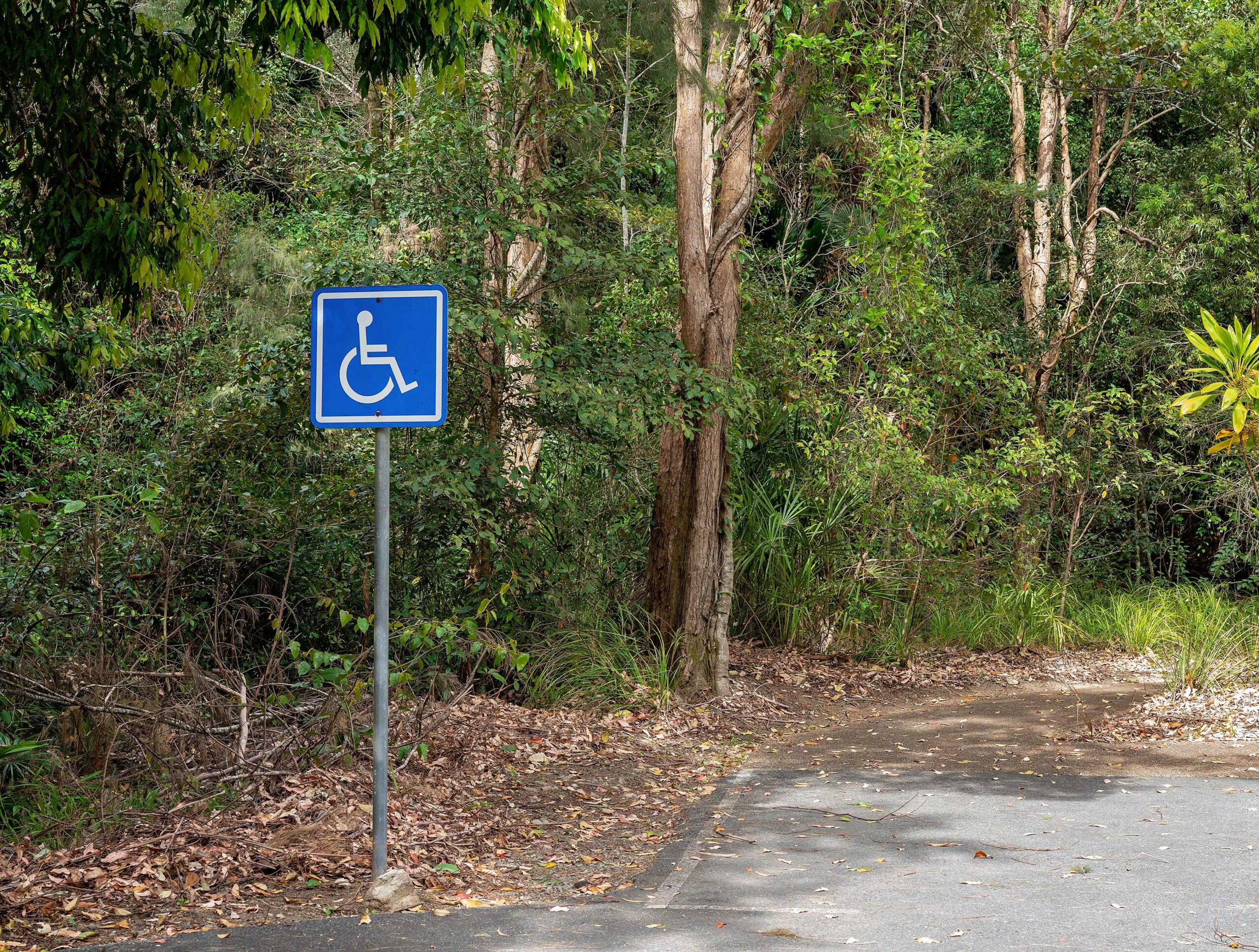 sentiers label tourisme et handicap accessible pmr fontainebleau