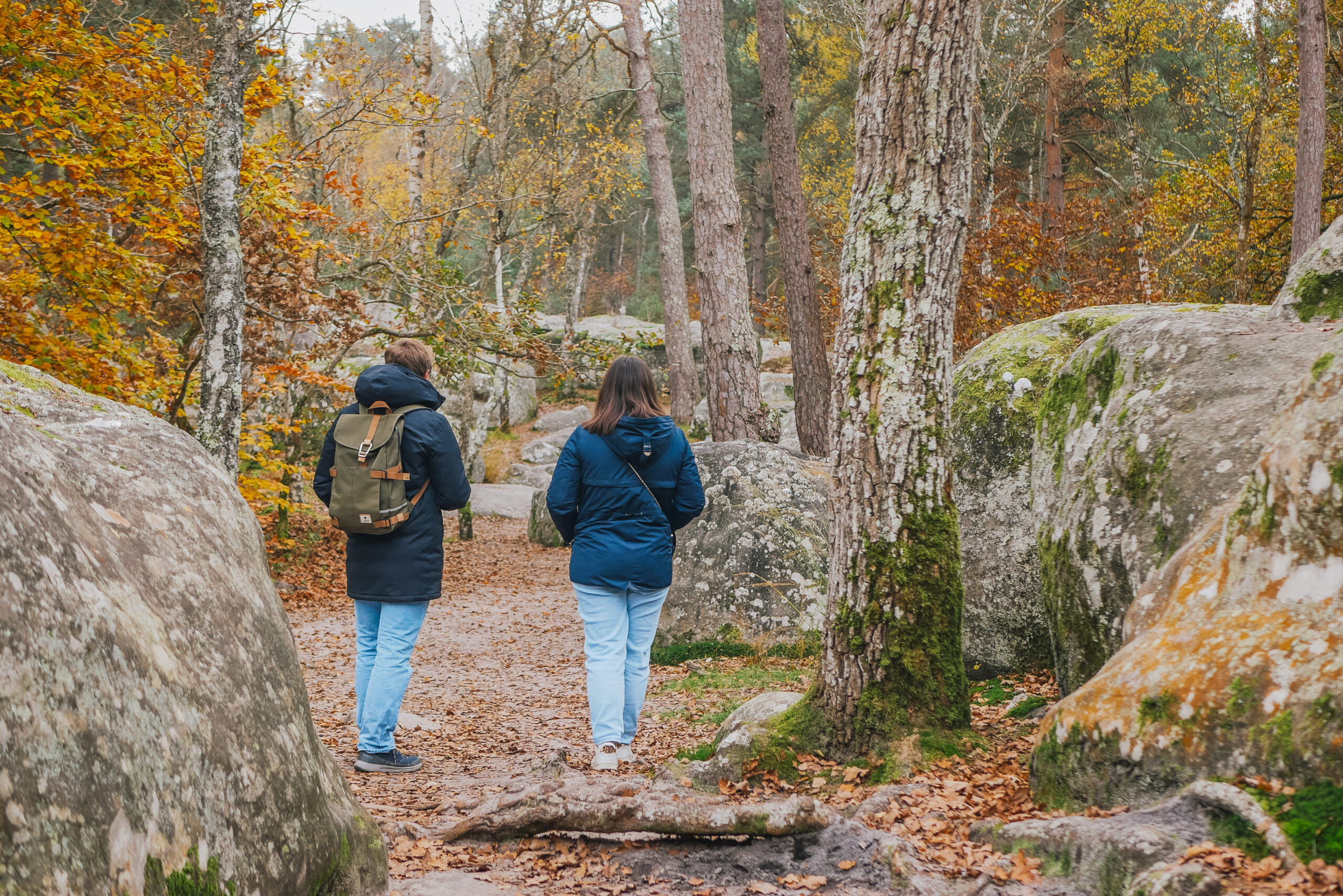 Forêt Barbizon (c)la bougeotte francaise