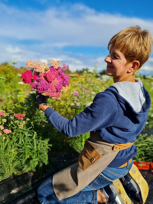 champs fleurs isabelle chanclud ferme florale seine et marne