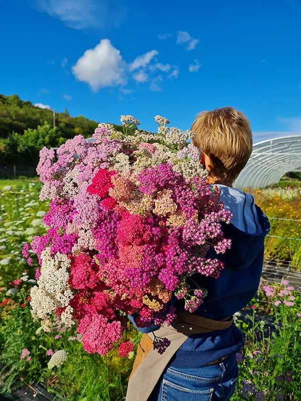 fleurs bouquet isabelle chanclud ferme florale seine et marne