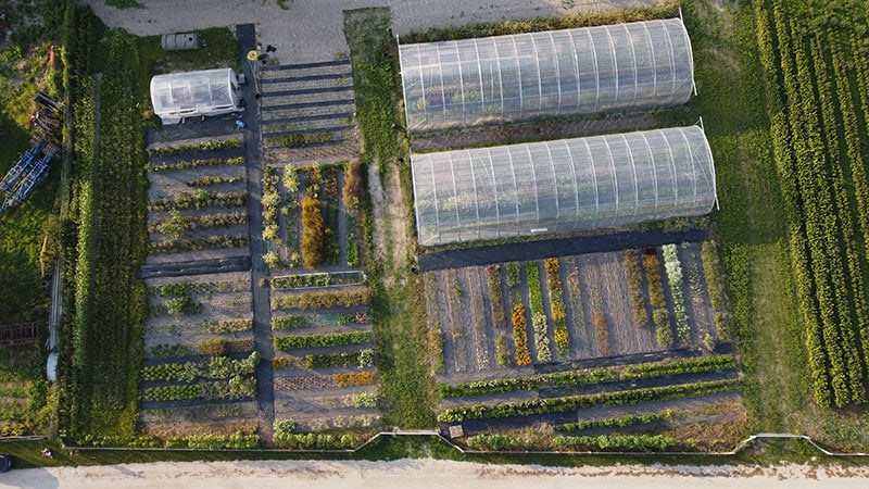 parcelles fleurs isabelle chanclud ferme florale seine et marne