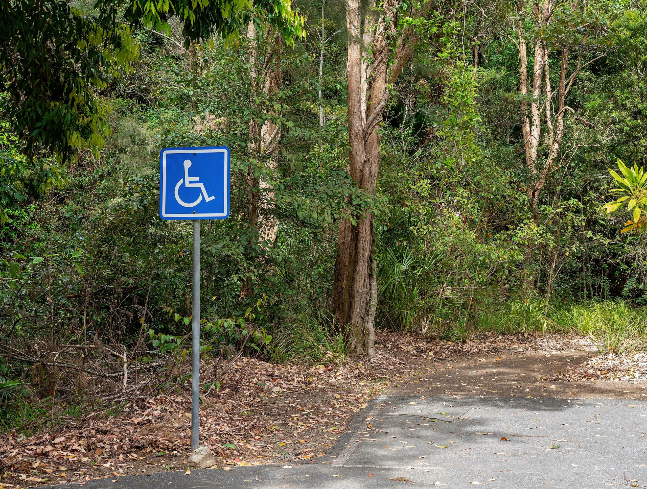 Tourisme & Handicap : 6 nouveaux sentiers accessibles à tous en pleine forêt de Fontainebleau