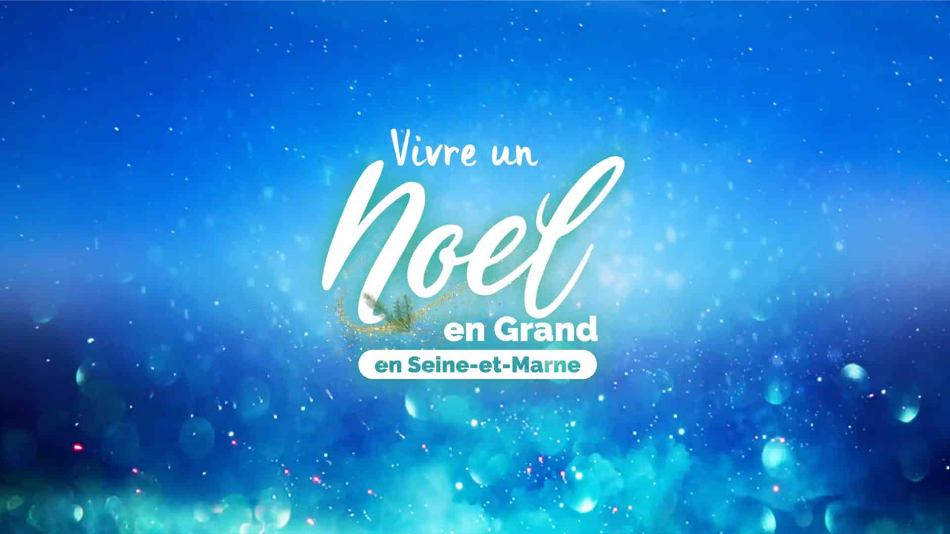 vivre un noel en grand seine et marne banniere